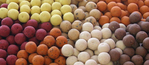Ichthys boilies  Mach 4