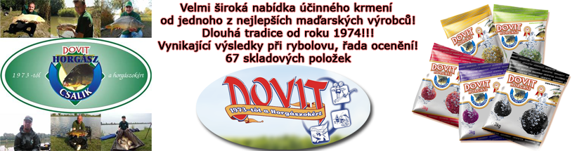 divit-2016-01.png